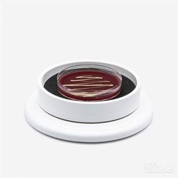 Mikrobiyoloji Ekim Tablası