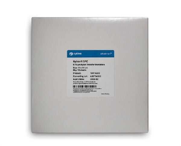 Nytran® SuPerCharge Membran Whatman 200×3000 mm 10416294