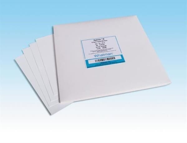 Nytran® SuPerCharge Membran Whatman  0,45µm, 300x300 mm 10416296